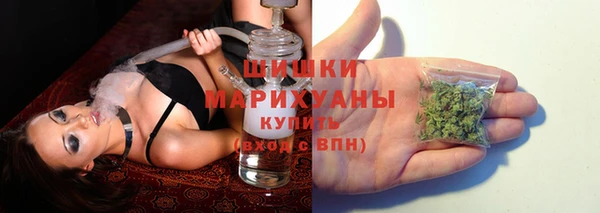 мет Новозыбков