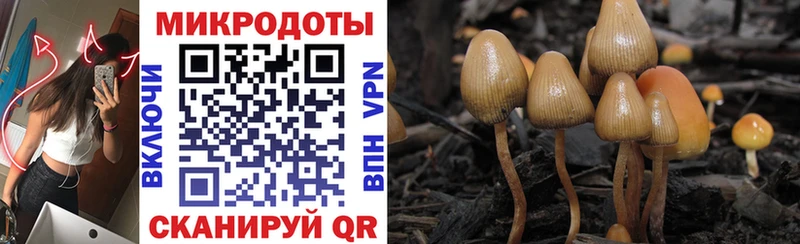 хочу наркоту Белореченск Псилоцибиновые грибы MAGIC MUSHROOMS