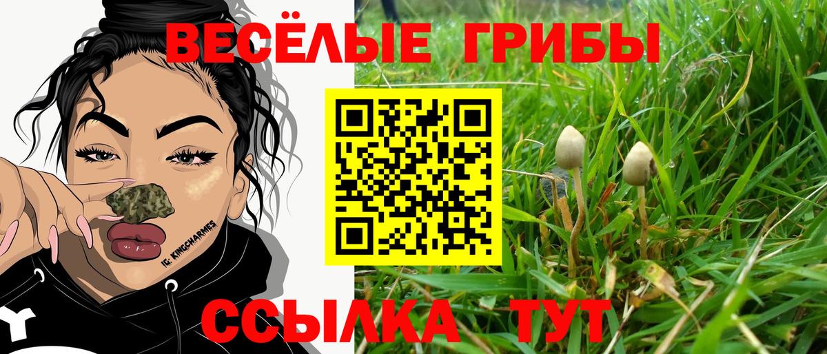 Псилоцибиновые грибы прущие грибы Белореченск