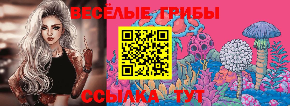 Галлюциногенные грибы прущие грибы  где купить   Вход с VPN  Белореченск  Галлюциногенные грибы GOLDEN TEACHER 
