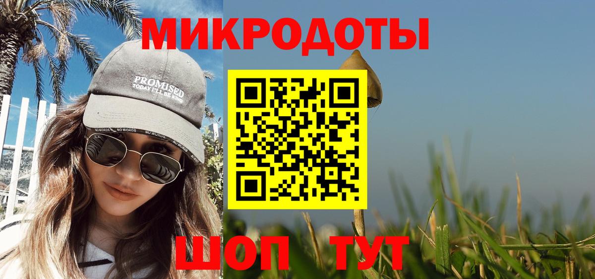 Псилоцибиновые грибы GOLDEN TEACHER  Белореченск  Галлюциногенные грибы Psilocybe 