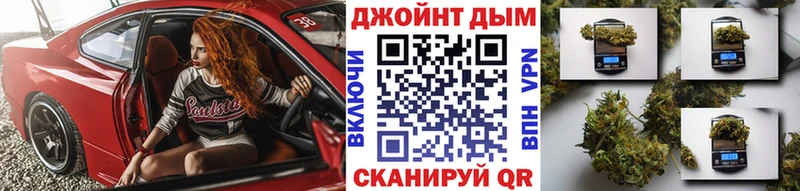 Марихуана план  купить закладку  Белореченск 